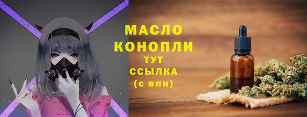 прущий лед Пересвет