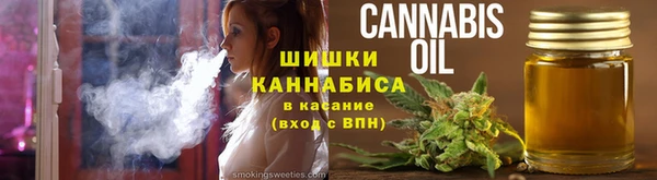 прущий лед Пересвет