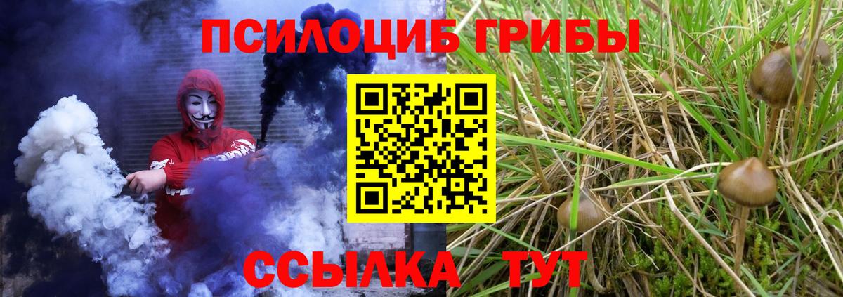 Боровичи  Галлюциногенные грибы мицелий  Вход с VPN 