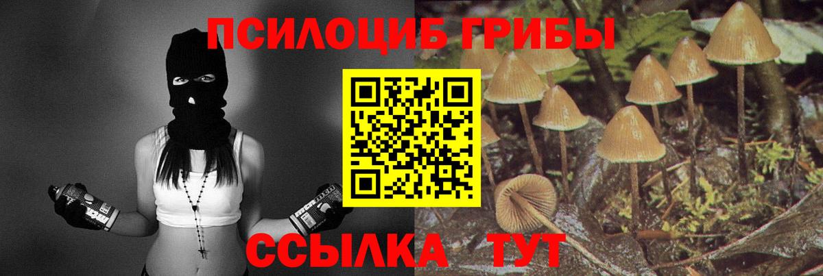 Галлюциногенные грибы Psilocybe  Псилоцибиновые грибы Psilocybine cubensis  купить закладку  Боровичи 